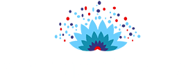 VD Importers logo